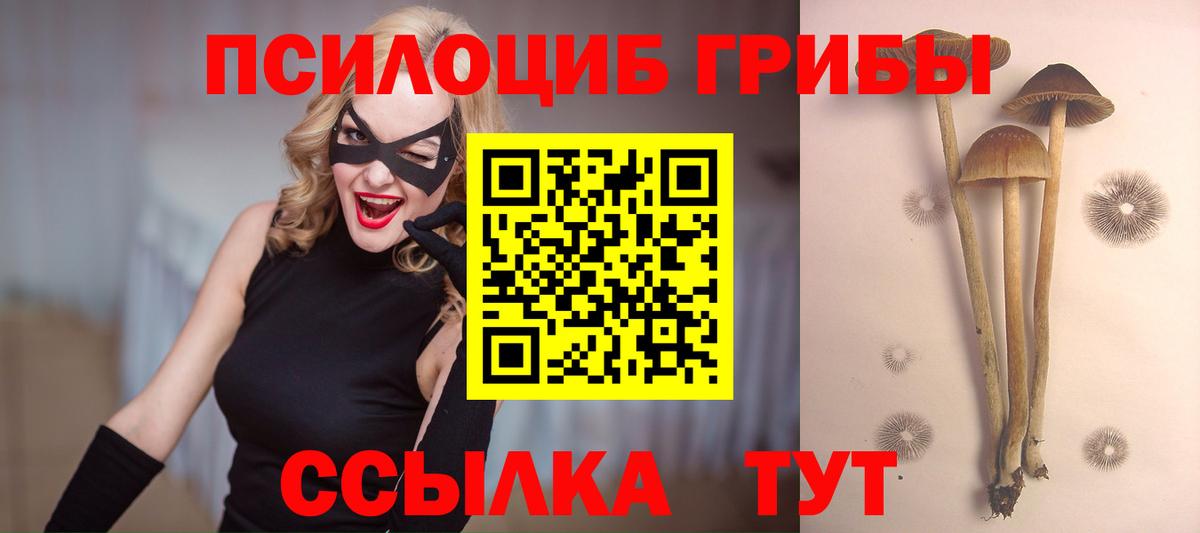 Псилоцибиновые грибы GOLDEN TEACHER  Вход с VPN  Кинель 